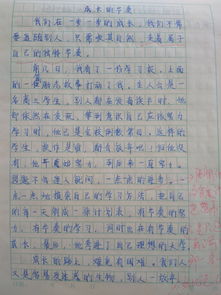 打乒乓球作文500字优秀作文