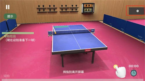 会玩乒乓球游戏破解版