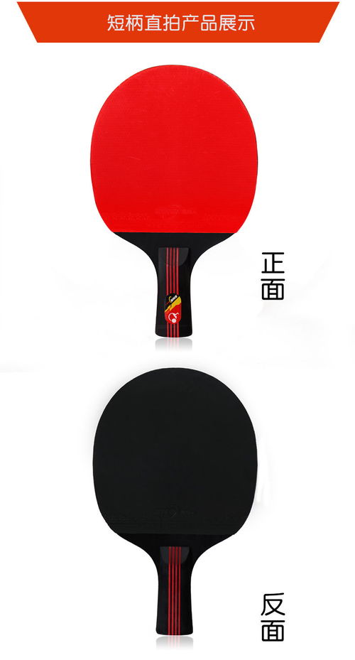 外国乒乓球队员在中国训练