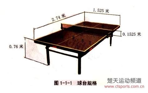 乒乓球标准尺寸大小(厘米)