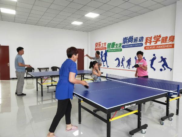 乒乓球过桥游戏