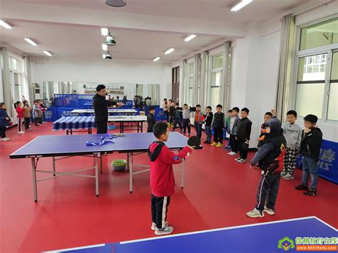 少年乒乓球训练计划