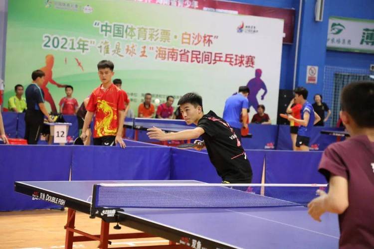 海南乒乓球协会会长是什么级别