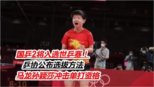 乒乓球外出比赛方案设计