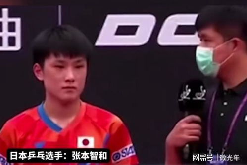 男单乒乓球输了