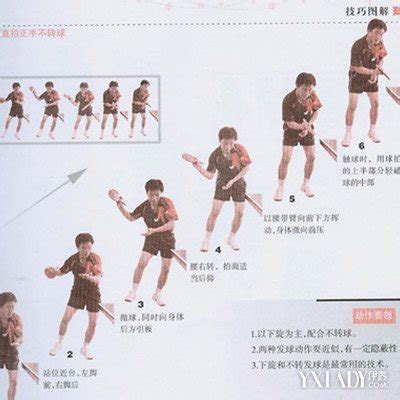 乒乓球规则是什么