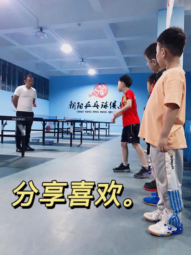 乒乓球俱乐部简介