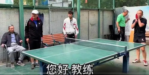 乒乓球网高多少厘米