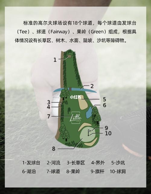 高尔夫球起源与历史背景