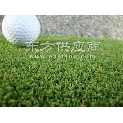 高尔夫球草的名称