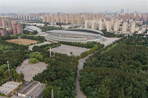 沈阳市乒乓球俱乐部地址