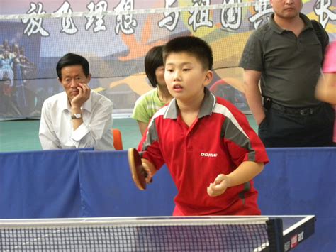 小学四年级乒乓球与盒子