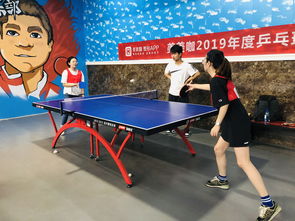 室外乒乓球案子价格