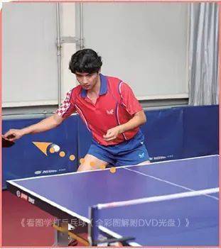 乒乓球板面尺寸
