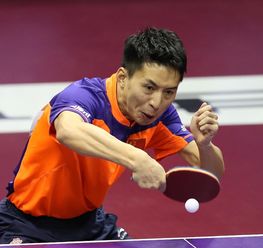 闽龙乒乓球