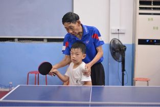 介休少儿乒乓球培训学校