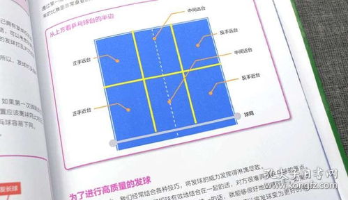 乒乓球训练课教学视频