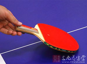 乒乓球球拍的分类