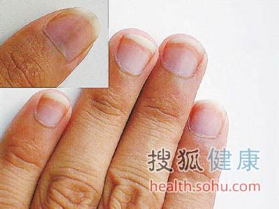 养生堂健康手机详情页