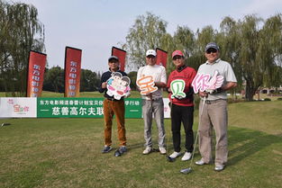 泰格伍兹高尔夫球巡回赛
