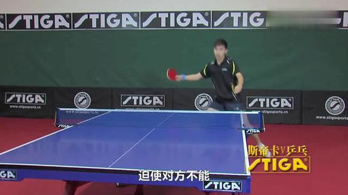 乒乓球发球抢攻战术特点包括什么
