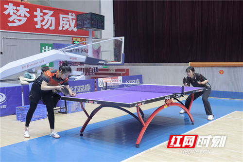 科学小实验静电吸纸教案