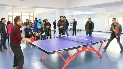 新加坡乒乓球比赛