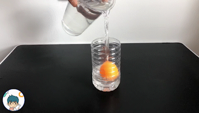 乒乓球实验过程
