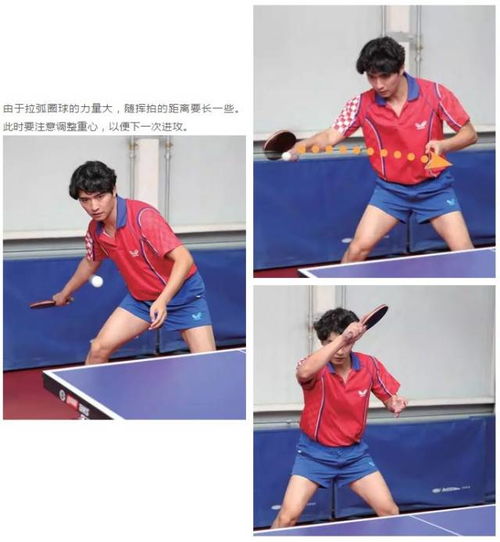 乒乓球反手拉球用什么胶皮好