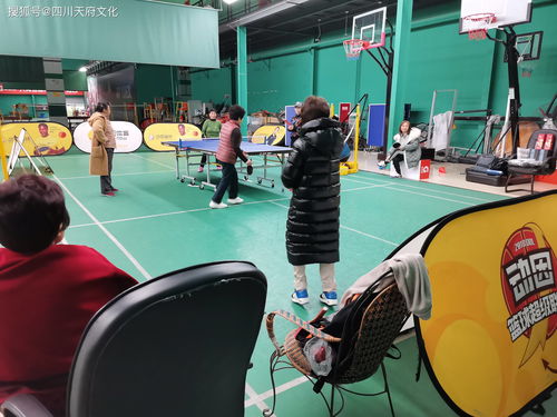 学乒乓球新加坡学什么