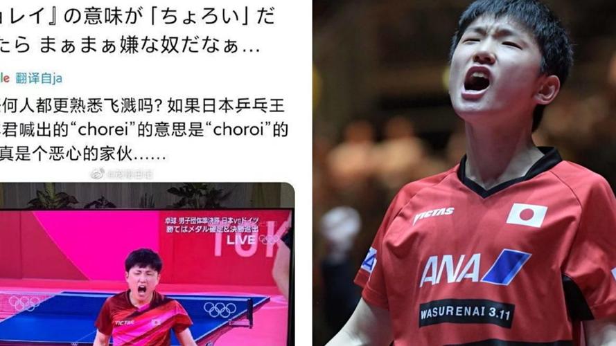 乒乓球男团日本对德国谁赢了