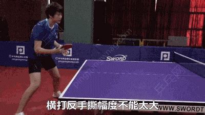 乒乓球资料有哪些