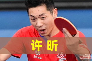男团世界杯乒乓球比赛日程2024