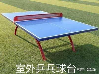 乒乓球胶皮外套是什么意思