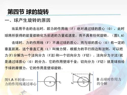 乒乓球的旋转教案