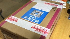 乒乓球拍正品