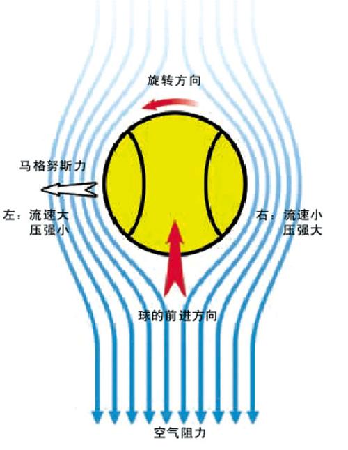 恢复健康的乒乓球原理是什么