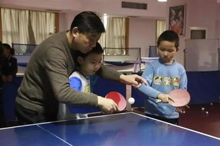 杭州乒乓球培训班