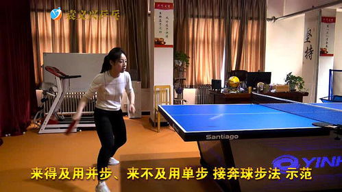 乒乓球横版竖版区别