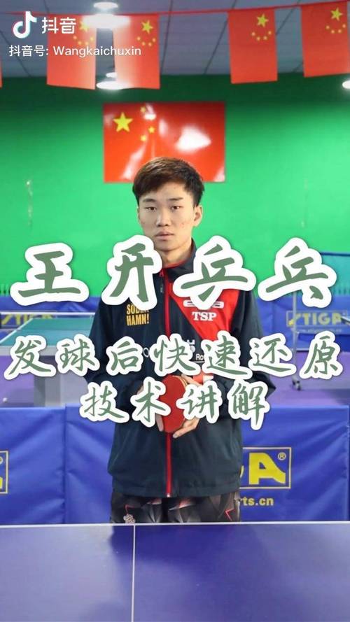 王开简历乒乓