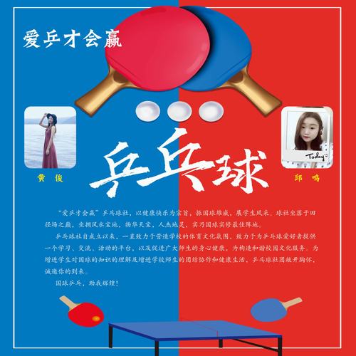 打乒乓球文案