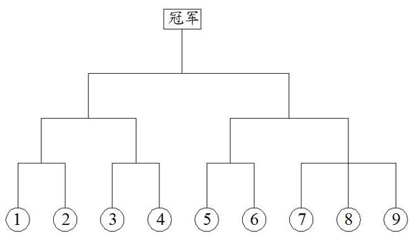 乒乓球比赛程序分为哪些