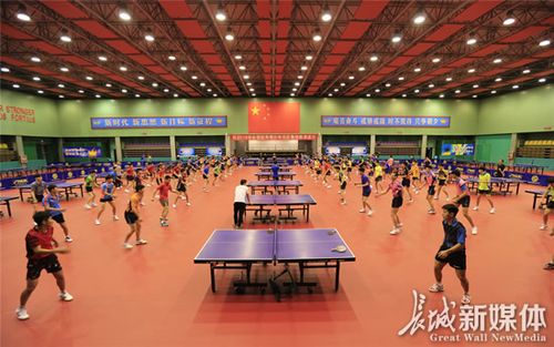 施甸县乒乓球训练基地地址