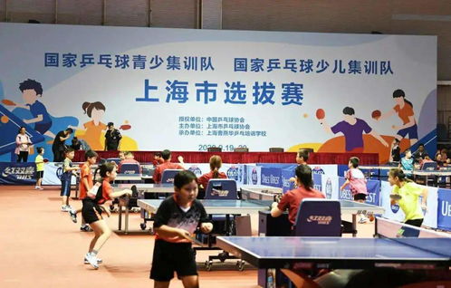 重庆高校乒乓球培训班有哪些