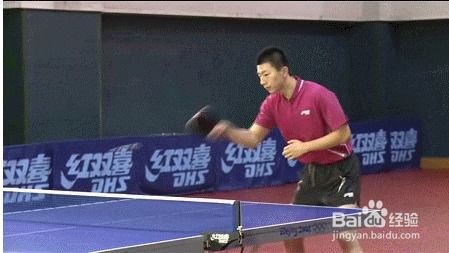 男子乒乓球总决赛