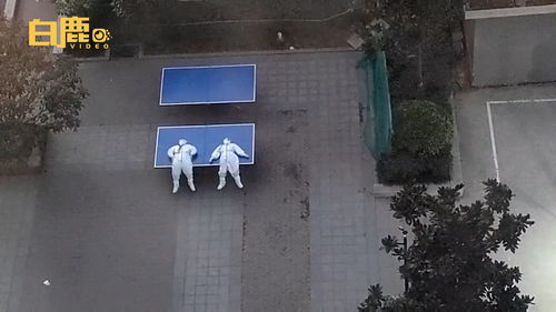 乒乓球桌离地高度