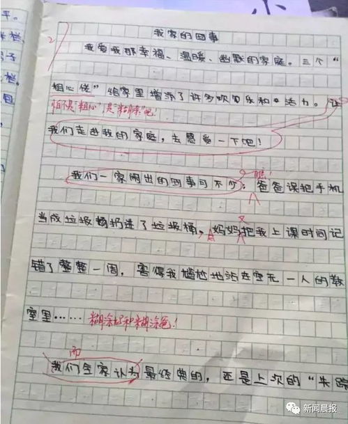 趣味乒乓球比赛作文