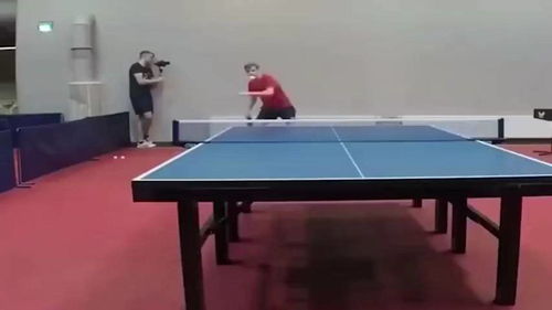 乒乓球桌大小