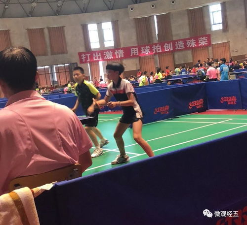 烟台莱山区小学乒乓球比赛