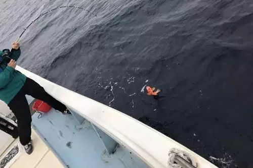 海绵高尔夫球